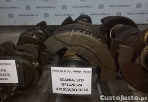 imagem_6