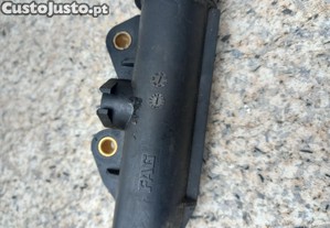 imagem_10
