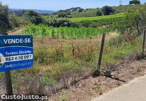 Terreno em Maxial e Monte Redondo de 3080,00 m²