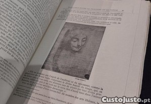 imagem_11