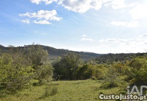 imagem_12