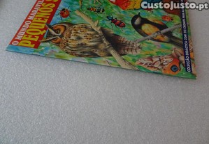 imagem_2