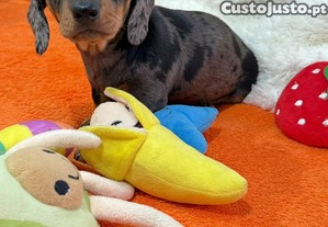 imagem_3