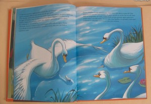 imagem_6