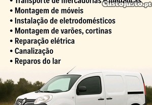 imagem_1