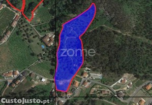 'Vinha De Cima' - Terreno Em Santa Comba,...