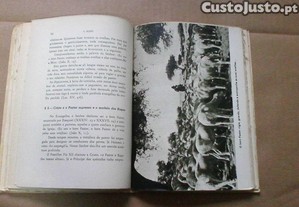 imagem_5