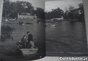 imagem_8