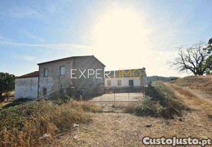 imagem_7