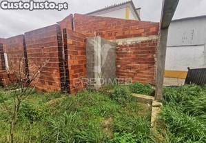 imagem_11