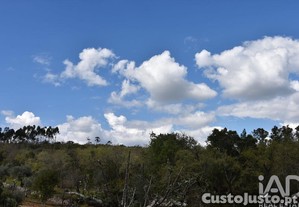 imagem_30