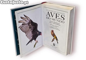 imagem_7