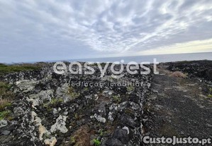 Terreno De Vinha Junto Ao Mar Na Zona Da...