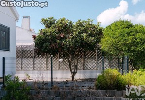 imagem_36