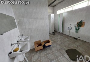 imagem_18