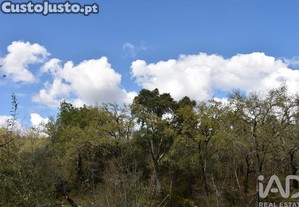 imagem_28