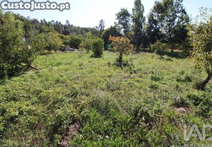 imagem_30