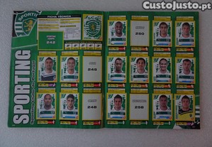 imagem_5