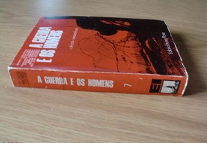 imagem_3