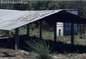 imagem_2