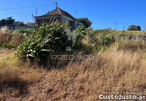 imagem_6