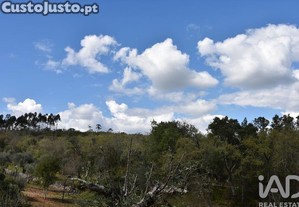 imagem_29