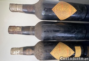 imagem_3