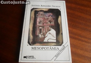 imagem_1