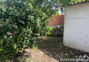 imagem_37
