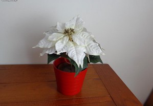 Flor de Natal branca com vaso