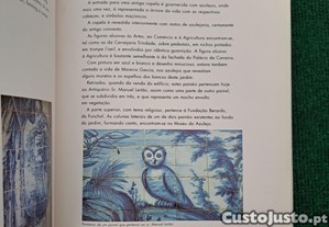 imagem_8