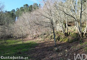 imagem_25