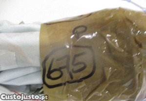 imagem_6