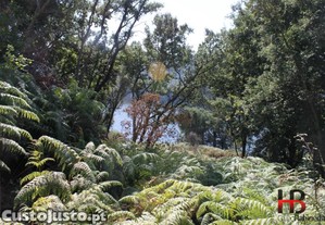 imagem_14