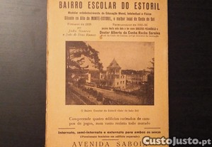 imagem_5