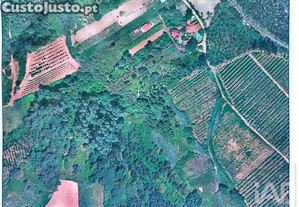 Terreno Agrícola em Carvalhal Benfeito