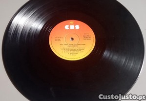 imagem_6