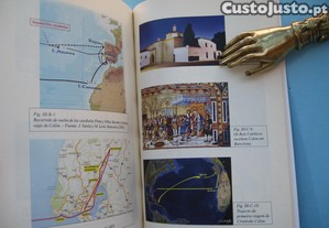 imagem_6