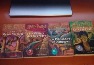 imagem_8