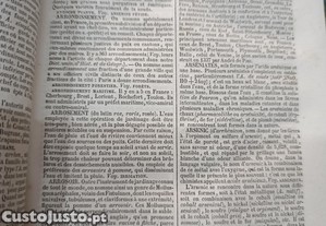 imagem_3
