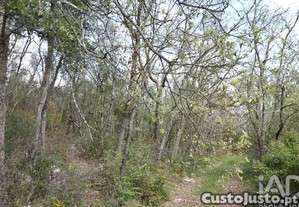 Terreno em Chãos