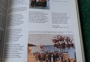imagem_6