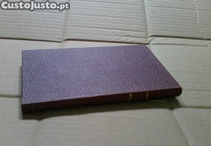 imagem_3