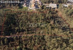 Terreno Rustico Com 22500 M2, Em Argoncilhe,...
