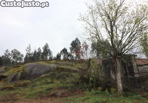 imagem_19