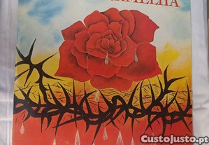 imagem_8