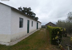 Quinta - Soalheira