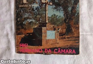 imagem_8