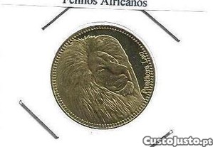 imagem_7