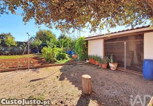 imagem_30